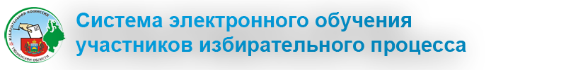 СЭО участников избирательного процесса